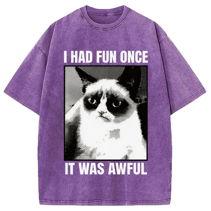 Modecanvas I Had Fun Once It Was Awful Cat Meme DTG Printing Washed T-Shirt