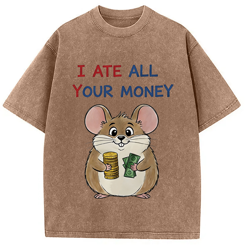 Modecanvas I Ate All Your Money Meme DTG Printing Washed T-Shirt-modecanvas
