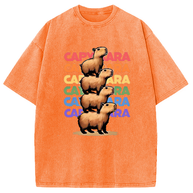 Modecanvas Funny Capybara Washed T-Shirt