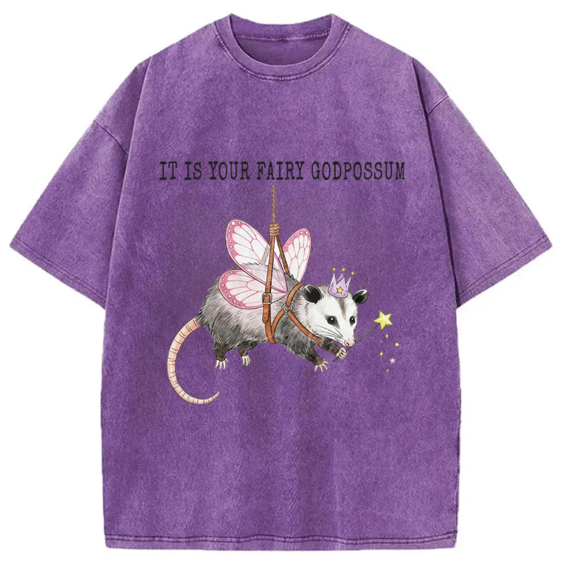 Modecanvas Funny Possum Meme DTG Printing Washed T-Shirt