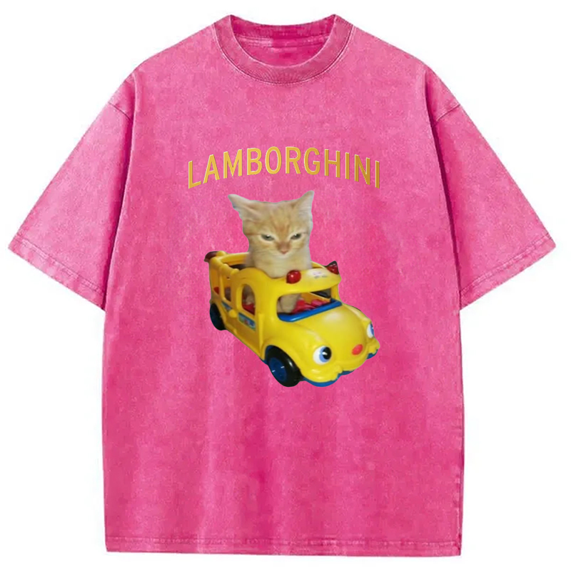 Modecanvas Car Cat Funny Meme Washed T-Shirt