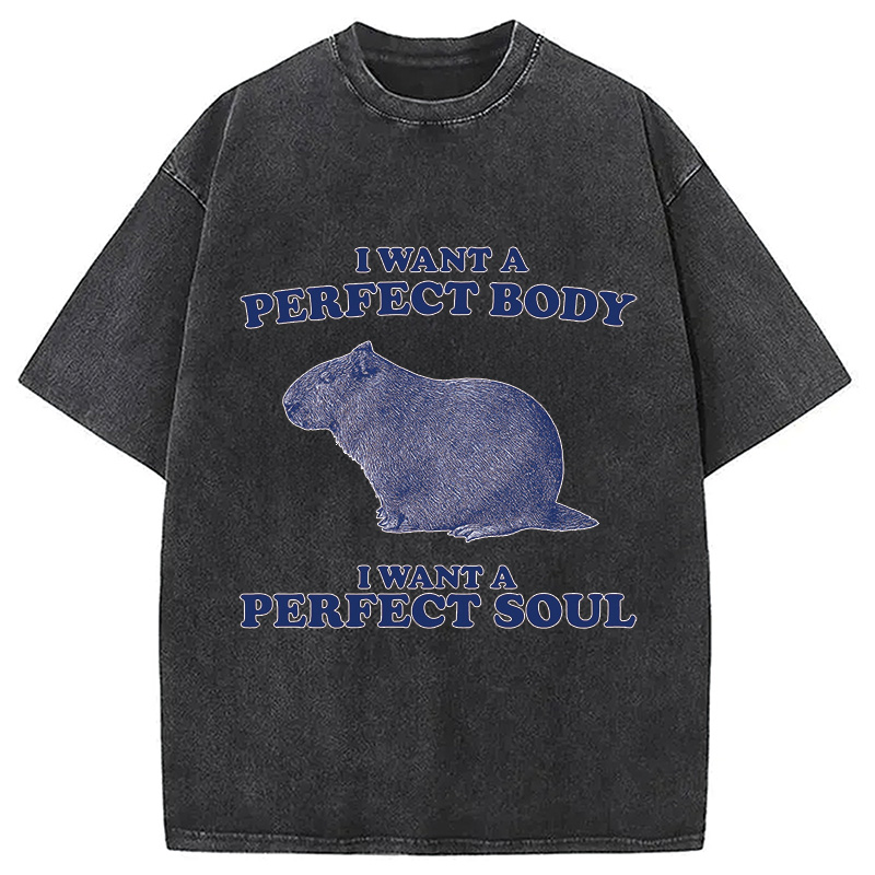 Modecanvas Capybara I Want A Perfect Washed T-Shirt
