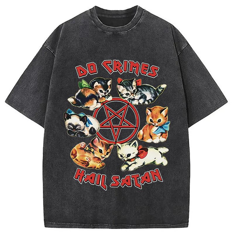 Modecanvas Cute Cats Do Crimes Hail Satan DTG Printing Washed T-Shirt