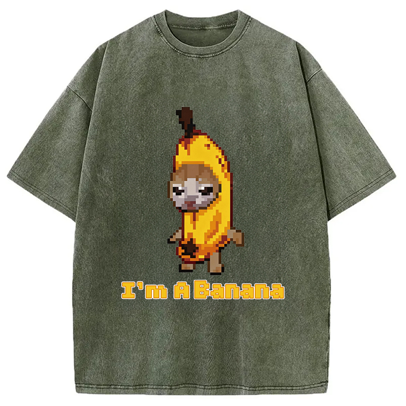 Modecanvas Banana Cat DTG Printing Washed T-Shirt
