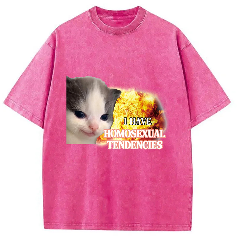 Modecanvas I Have Homosexual Tendencies Evil Kitty Meme DTG Printing Washed T-Shirt