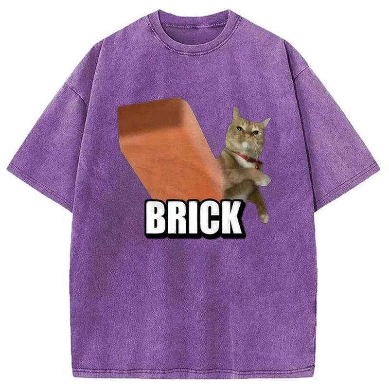 Modecanvas Funny Cat Throwing Brick Washed T-Shirt