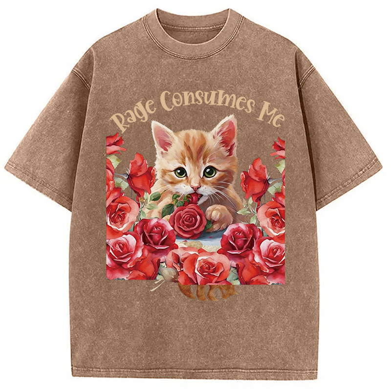 Modecanvas Rage Consumes Me Cat DTG Printing Washed T-Shirt
