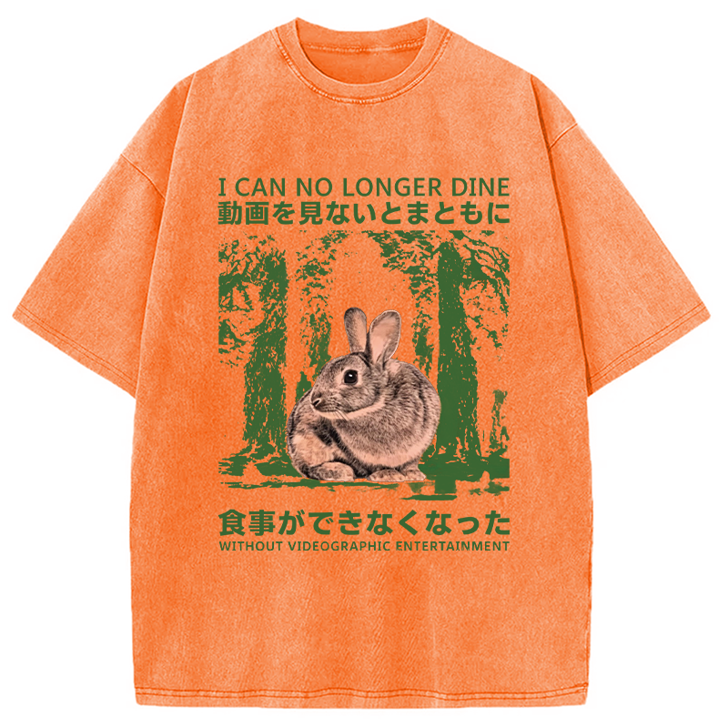 Modecanvas Vintage Japanese Horror Bunny DTG Printing Washed T-Shirt