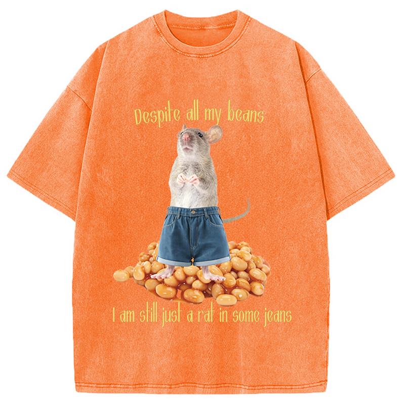 Modecanvas Despite All My Beans DTG Printing Washed T-Shirt