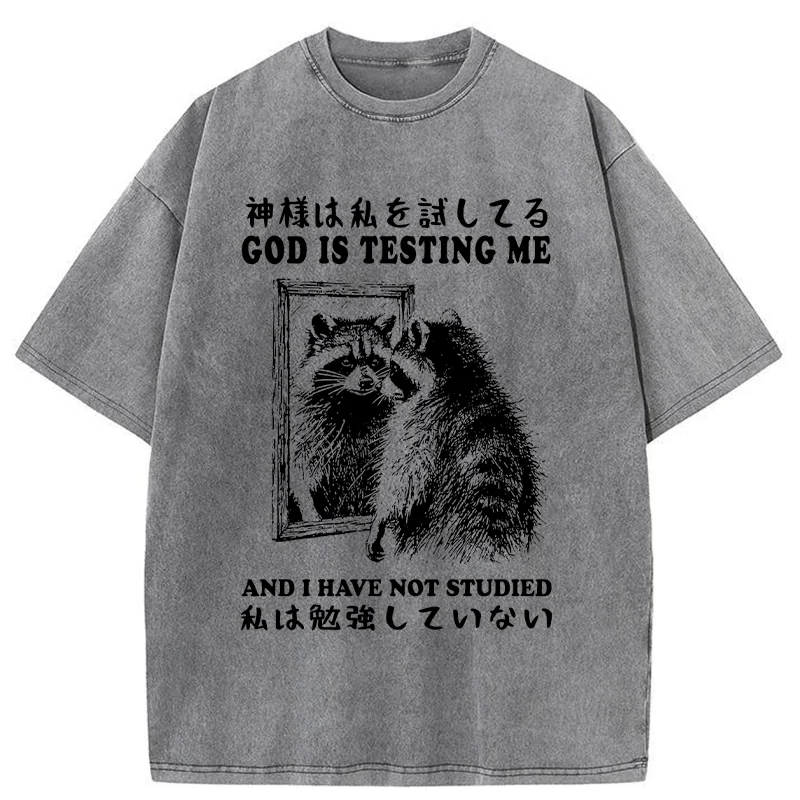 Modecanvas Raccoon Not Studied Washed T-Shirt