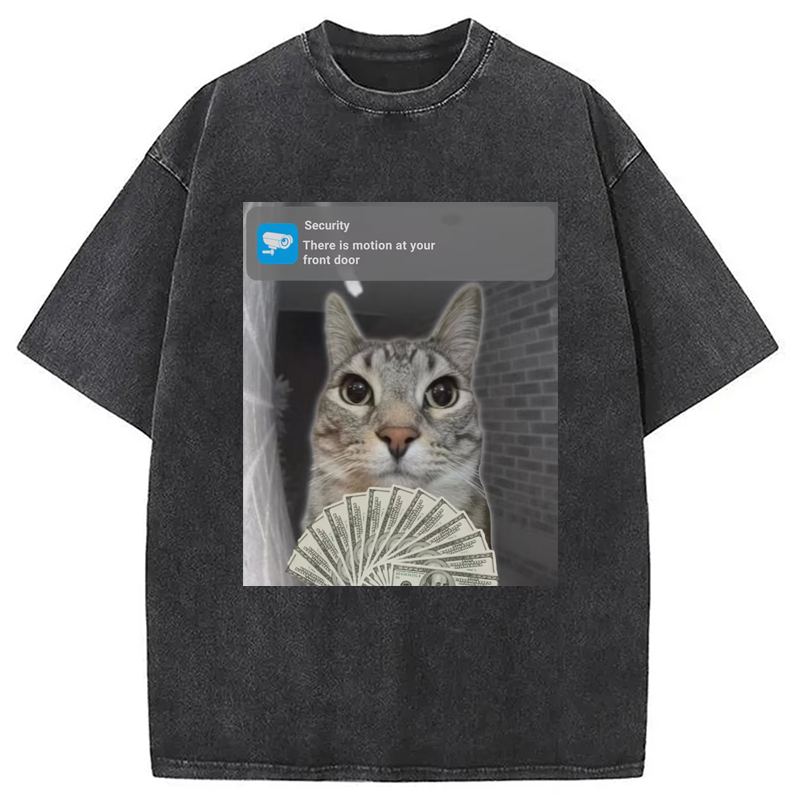 Modecanvas Ring Cat with Motion Meme Washed T-Shirt