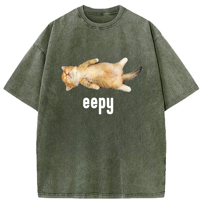 Modecanvas Silly Sleepy Cat Meme Washed T-Shirt-modecanvas
