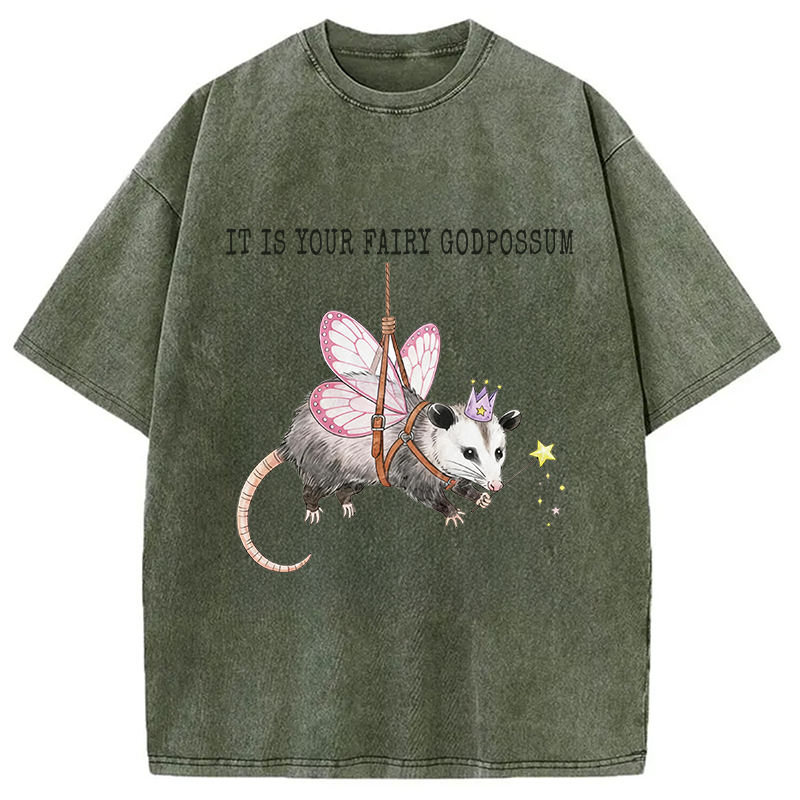 Modecanvas Funny Possum Meme DTG Printing Washed T-Shirt