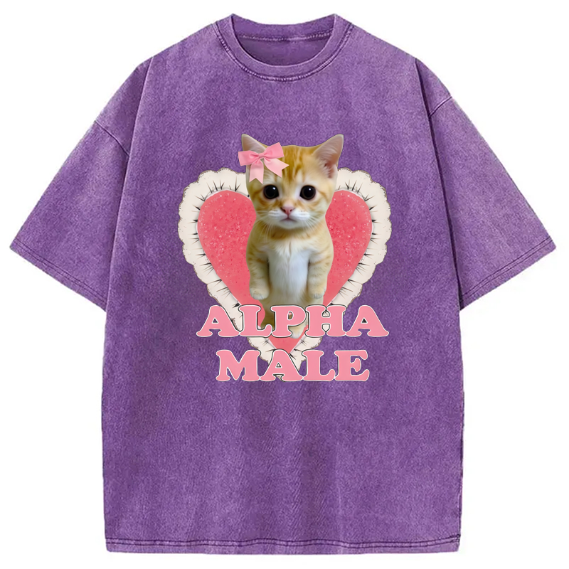 Modecanvas Alpha Male Kitten Washed T-Shirt
