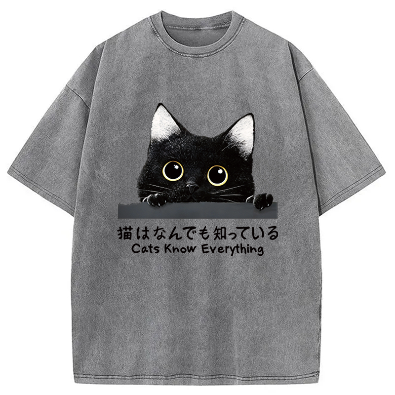 Modecanvas Cats Know Everything DTG Printing Washed T-Shirt-modecanvas