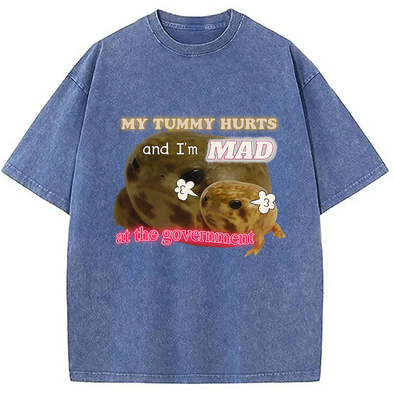 Modecanvas My Tummy Hurts Funny Frog Meme Washed T-Shirt