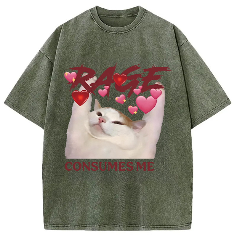 Modecanvas Rage Consumes Me Funny Cat Meme DTG Printing Washed T-Shirt