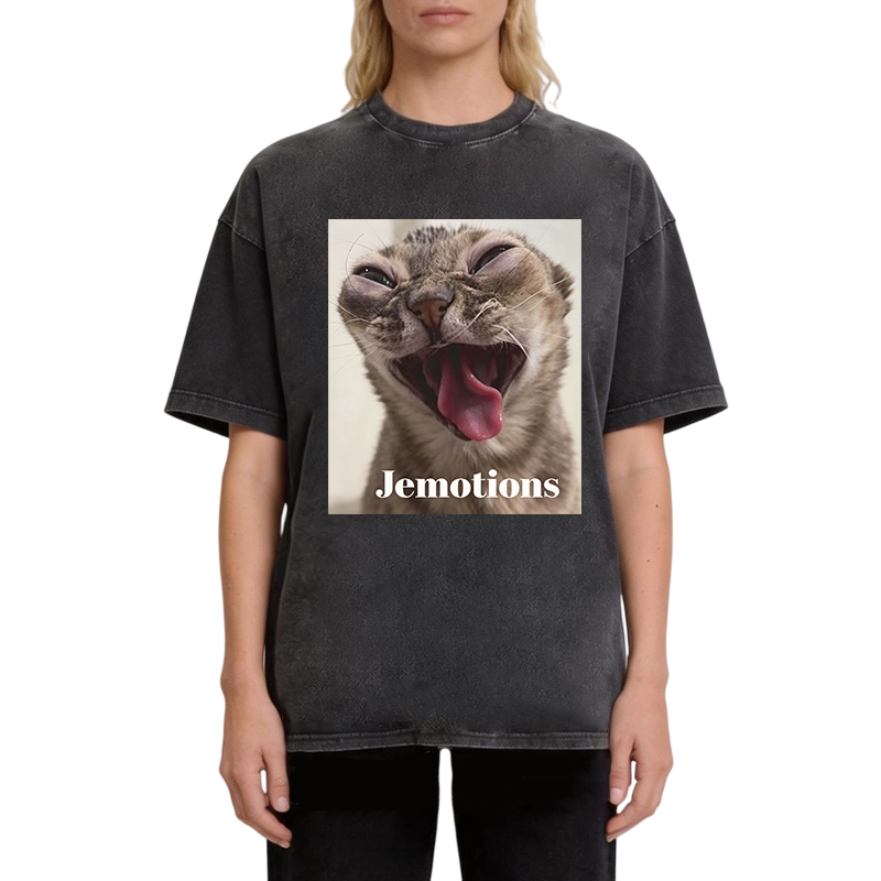 Modecanvas Jemotions Cat Meme DTG Printing Washed T-Shirt