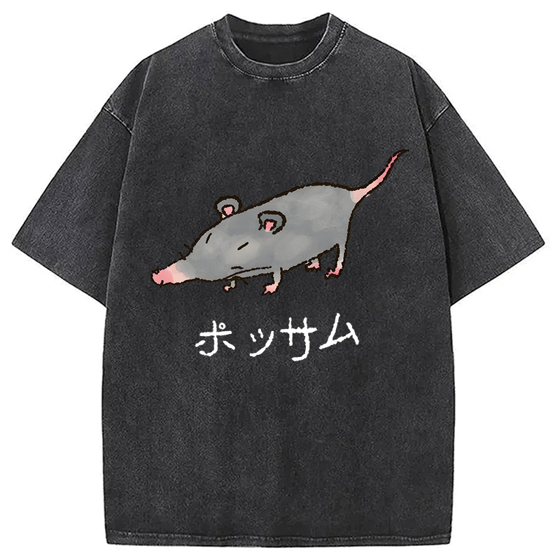 Modecanvas Possamu Rat Washed T-Shirt