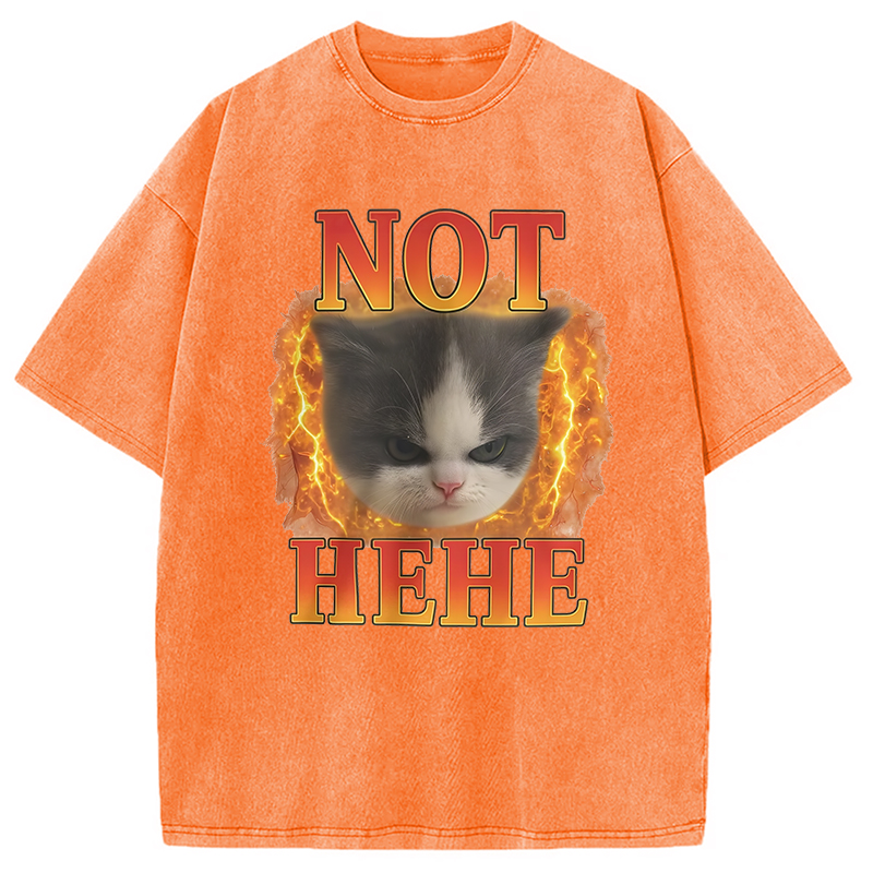 Modecanvas NOT HEHE Funny Cat Meme Washed T-Shirt