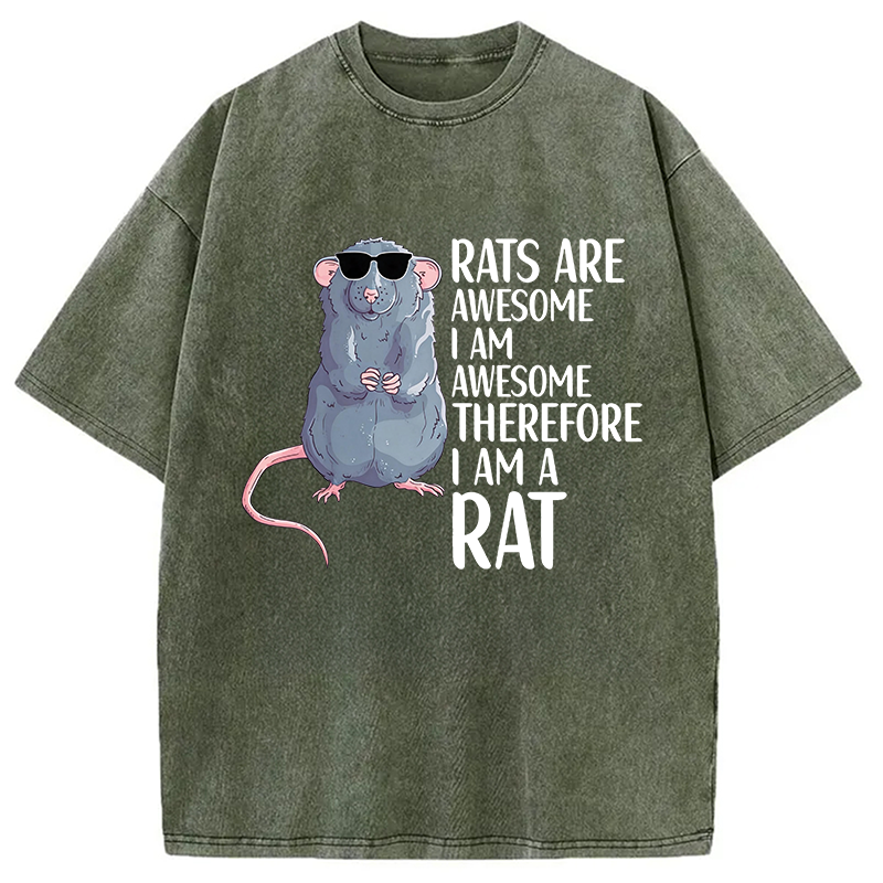 Modecanvas Rats Are Awesome Funny Rat DTG Printing Washed T-Shirt