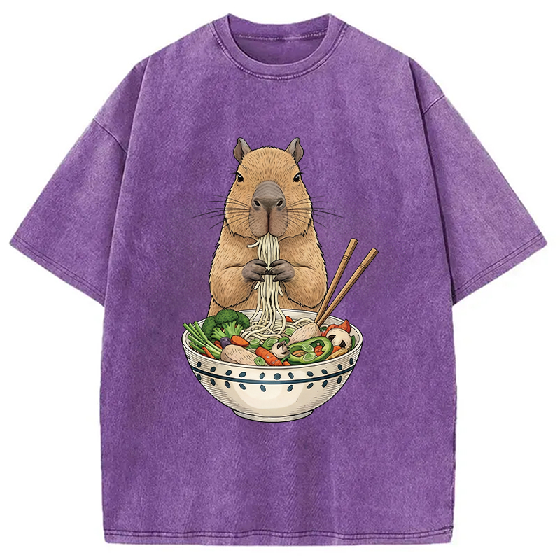 Modecanvas Funny Capybara Eating Ramen DTG Printing Washed T-Shirt