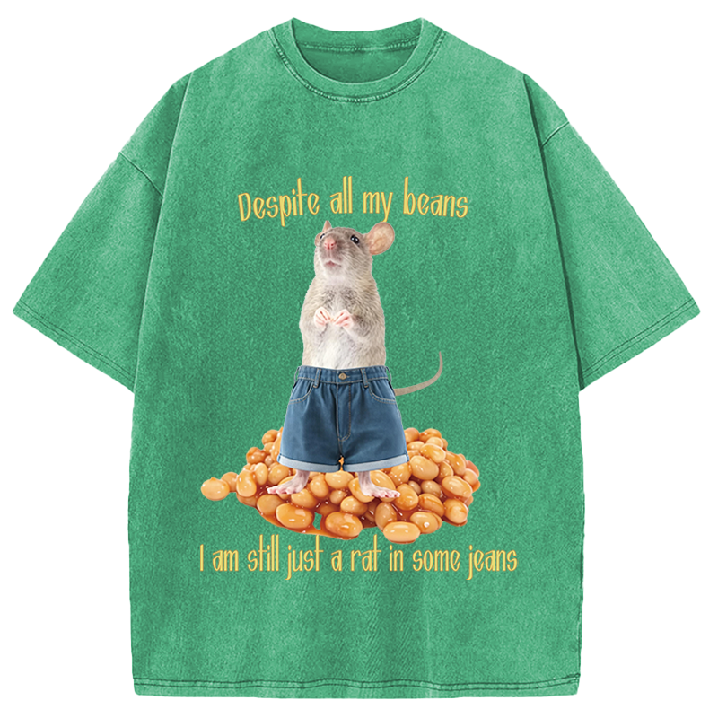 Modecanvas Despite All My Beans DTG Printing Washed T-Shirt