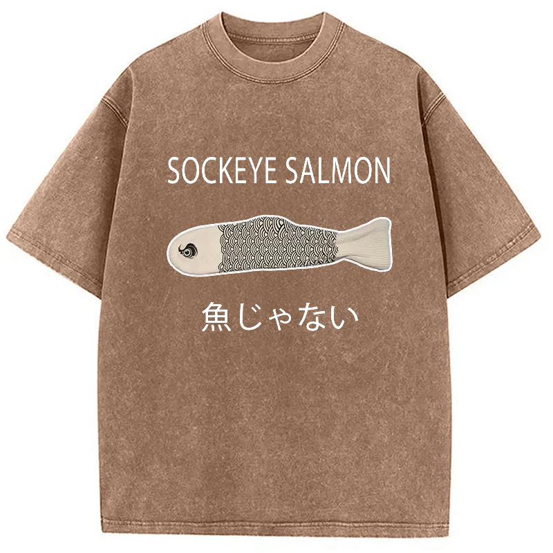 Modecanvas Sockeye Salmon Washed T-Shirt