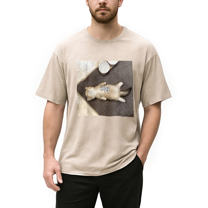 Modecanvas Eepy Funny Cat Meme Washed T-Shirt