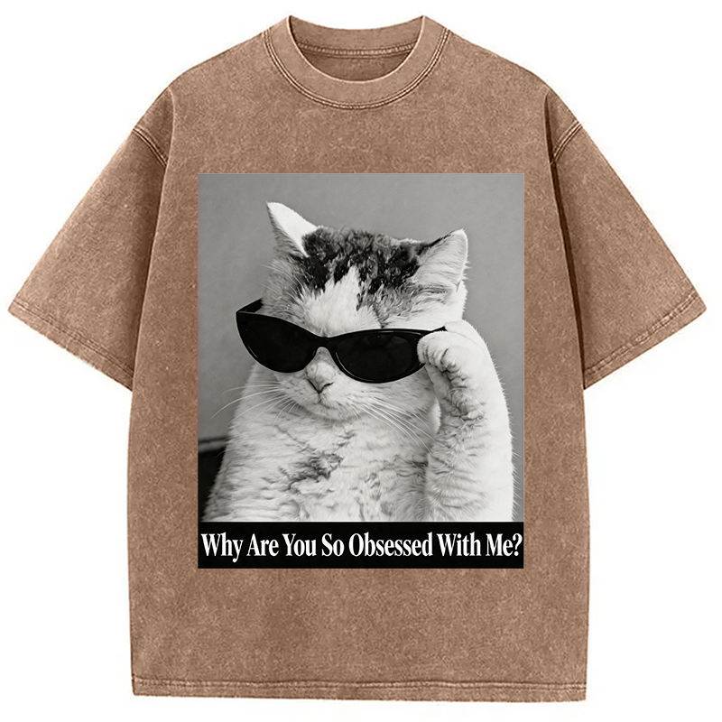 Modecanvas Why Are You So Obsessed WIth Me? Cat Meme DTG Printing Washed T-Shirt