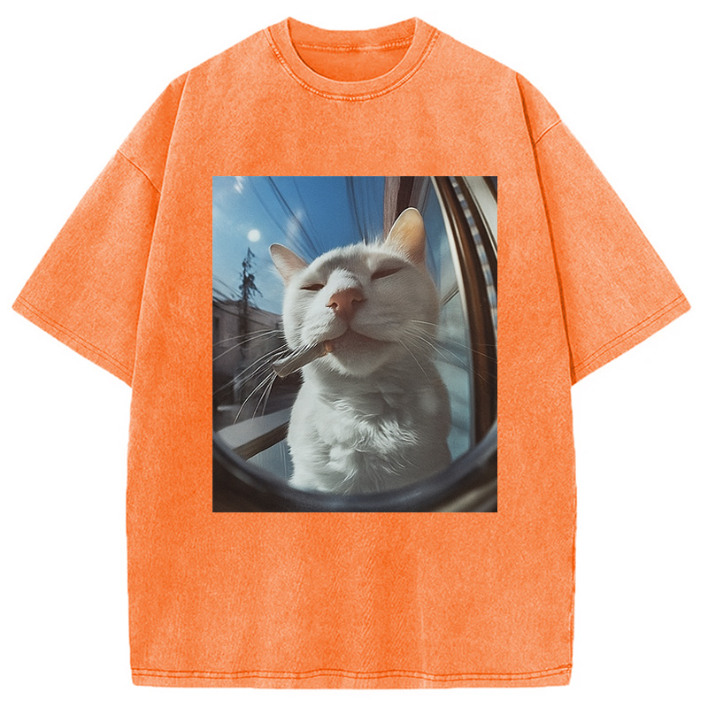Modecanvas Smoking Cat Meme Washed T-Shirt
