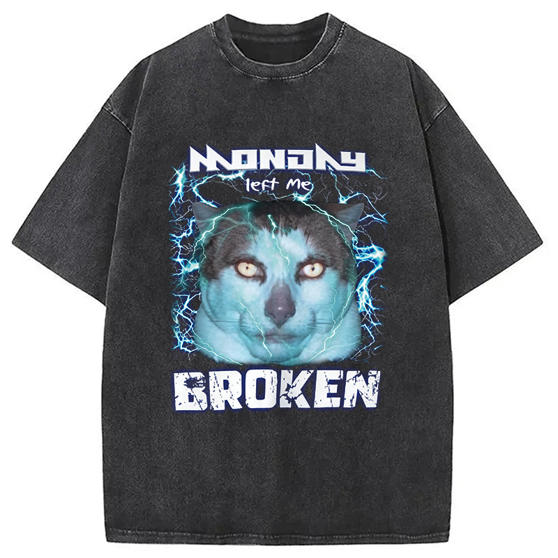 Modecanvas Monday Left Me Broken Cat DTG Printing Washed T-Shirt