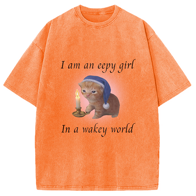 Modecanvas Eepy Girl Cat Meme DTG Printing Washed T-Shirt