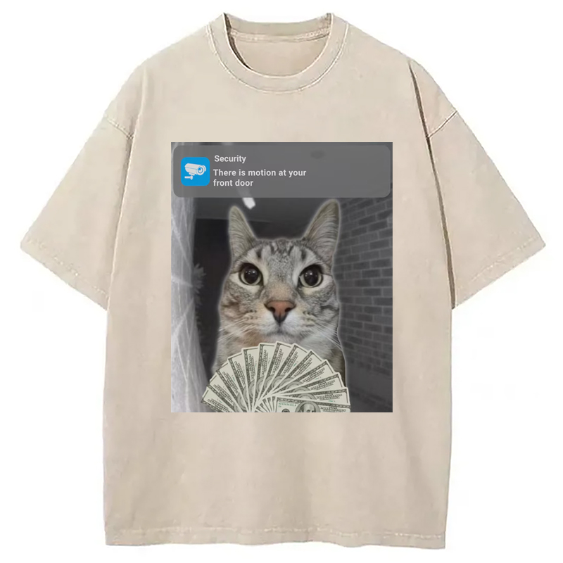 Modecanvas Ring Cat with Motion Meme Washed T-Shirt
