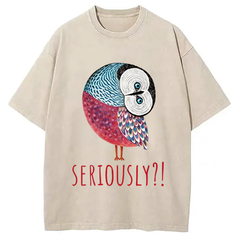 Modecanvas Seriously Art Owl DTG Printing Washed T-Shirt