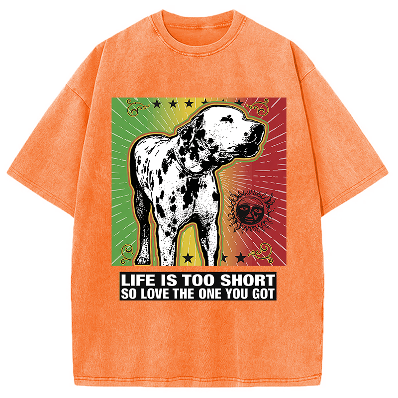 Modecanvas Life Is Too Short So Love The One You Got DTG Printing Washed T-Shirt