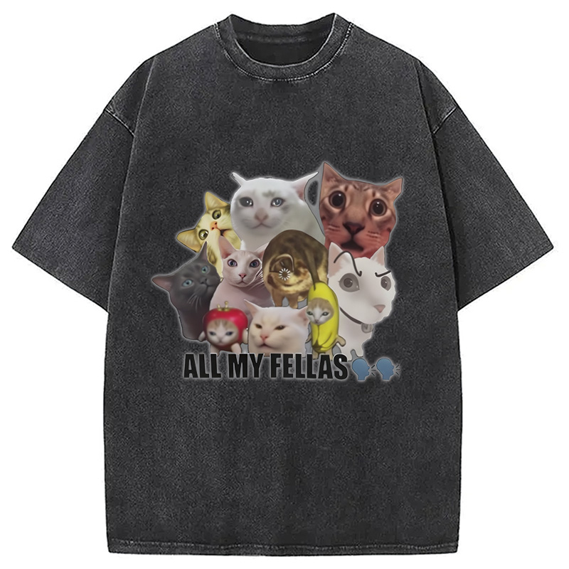 Modecanvas All My Fellas Internet Cats Meme Washed T-Shirt