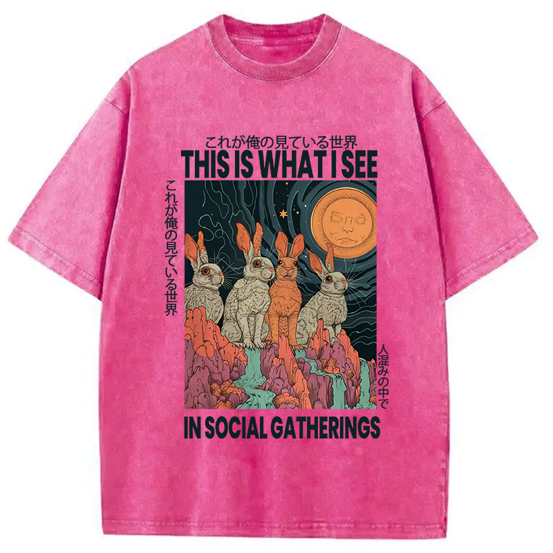 Modecanvas Funny Rabbit Japanese Social Anxiety DTG Printing Washed T-Shirt-modecanvas