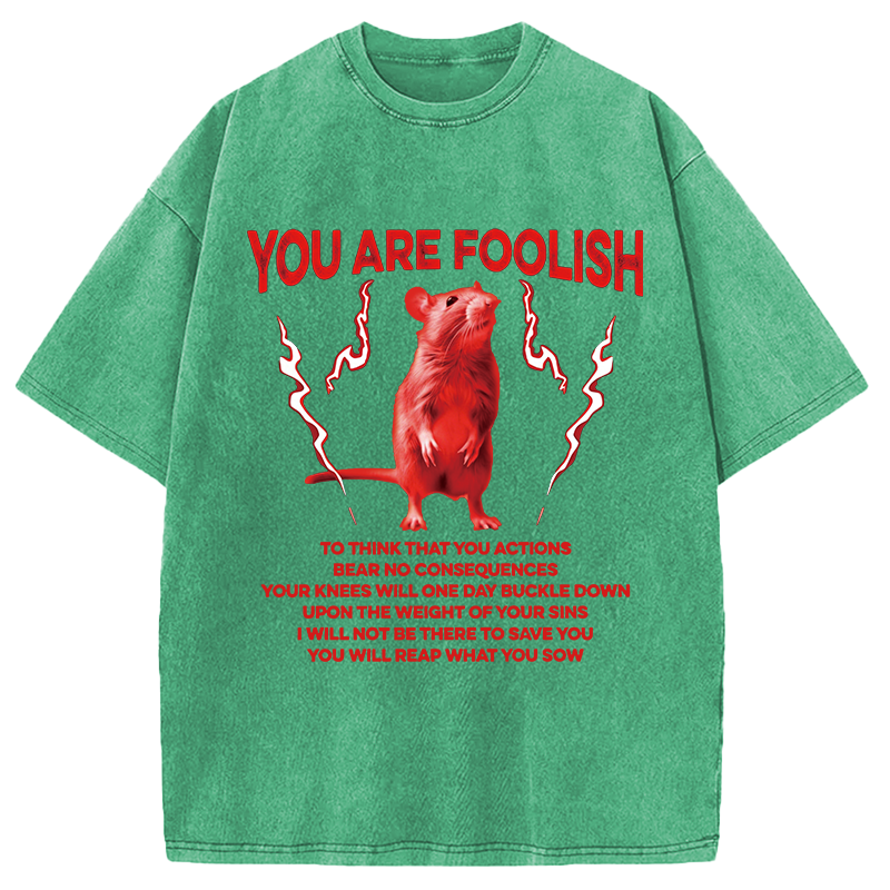 Modecanvas You Are Foolish Rat DTG Printing Washed T-Shirt