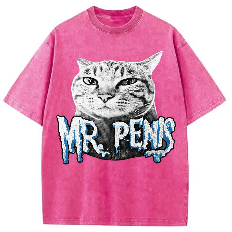 Modecanvas Mr Pen is Cat DTG Printing Washed T-Shirt