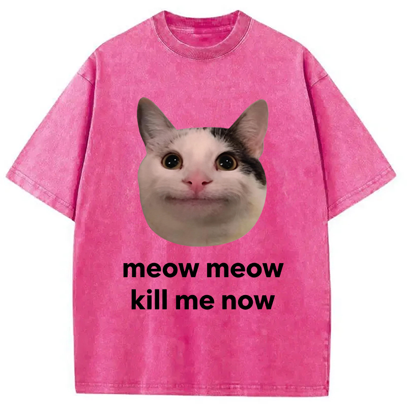 Modecanvas Meow Meow Kill Me Now Polite Cat Meme DTG Printing Washed T-Shirt