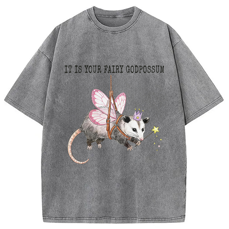 Modecanvas Funny Possum Meme DTG Printing Washed T-Shirt
