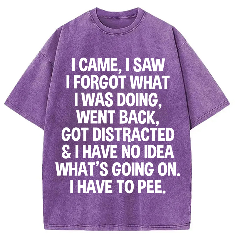 Modecanvas I Came I Saw I Forgot What I Was Doing DTG Printing Washed T-Shirt