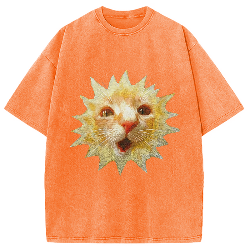 Modecanvas Sun Cat Meme DTG Printing Washed T-Shirt