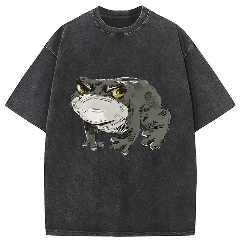 Modecanvas Japanese Frog Retro Washed T-Shirt