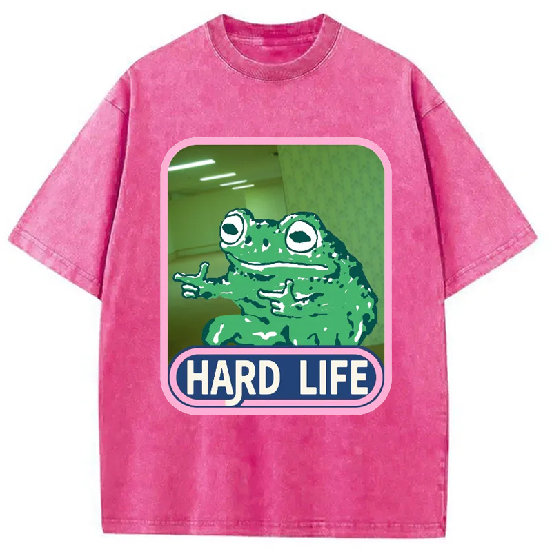 Modecanvas The Backrooms Hard Life Frog Washed T-Shirt