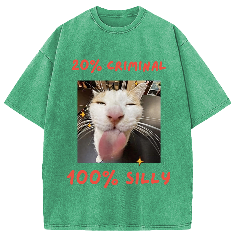 Modecanvas That Silly Cat Meme DTG Printing Washed T-Shirt