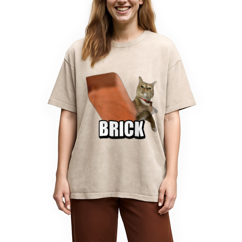 Modecanvas Funny Cat Throwing Brick Washed T-Shirt