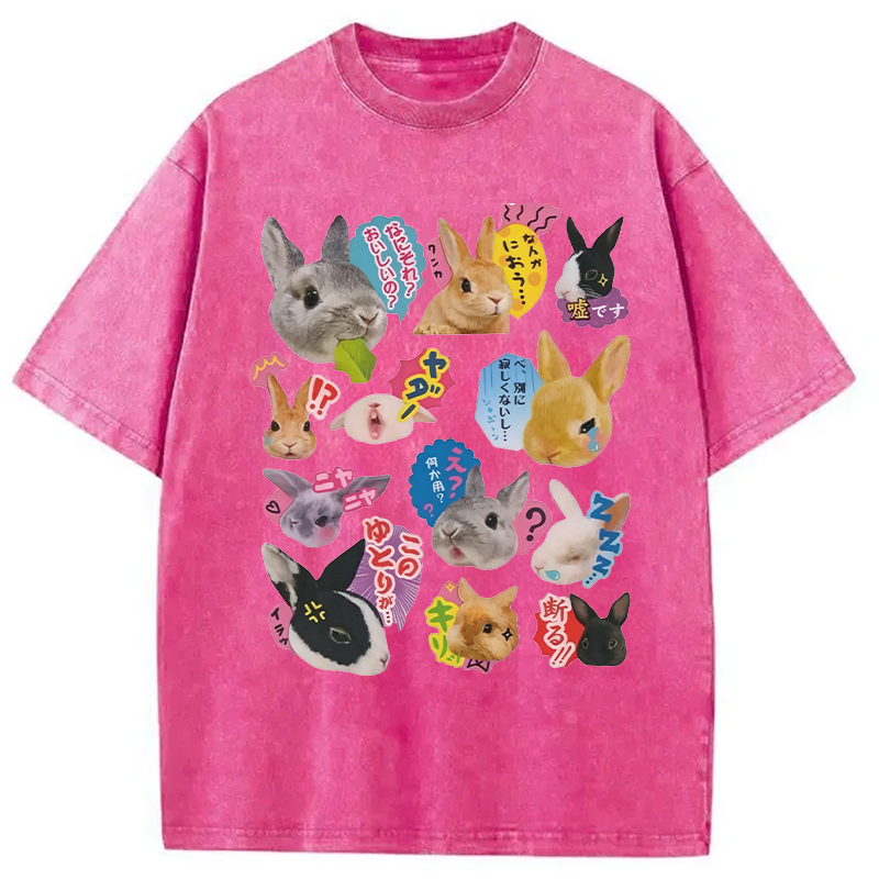 Modecanvas Japanese Bunny DTG Printing Washed T-Shirt