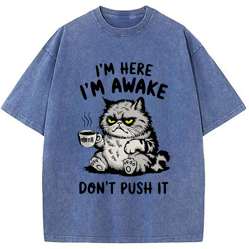 Modecanvas Tired Cat Washed T-Shirt